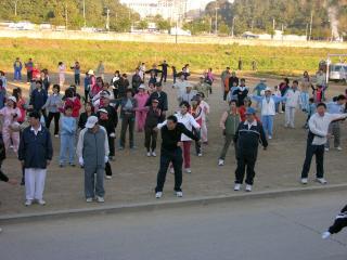 안양천 걷기대회 행사